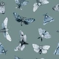 Blue night butterfly, indigo butterfly seamless pattern, wild insects, watercolor vintage illustration